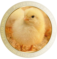POLLO INICIO