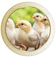 POLLO CRECIMIENTO