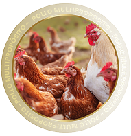 POLLO MULTIPROPÓSITO