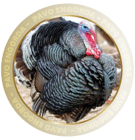 PAVO ENGORDA