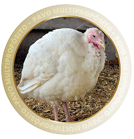 PAVO MULTIPROPÓSITO
