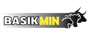 BASKINMIN