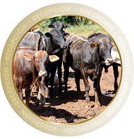 RECEPCIÓN