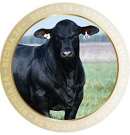 RECRÍA 24