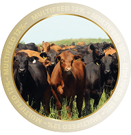 MULTIFEED 12%