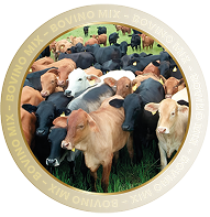 BOVINO MIX
