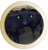 MANTENIMIENTO