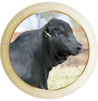 BOVINOS ENERMAX