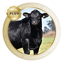 BOVINOS ENERMAX PLUS