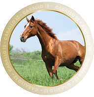CABALLO 12