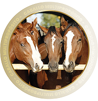 CABALLO MULTIPROPÓSITO
