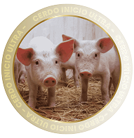 CERDOS INICIO ULTRA