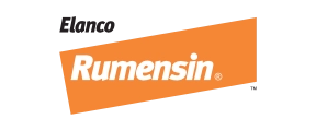 RUMENSIN